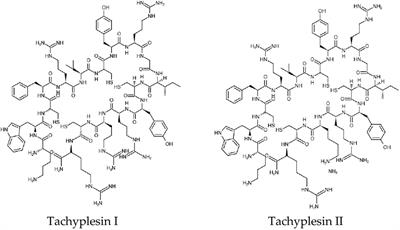 Marine Invertebrate Peptides: Antimicrobial Peptides